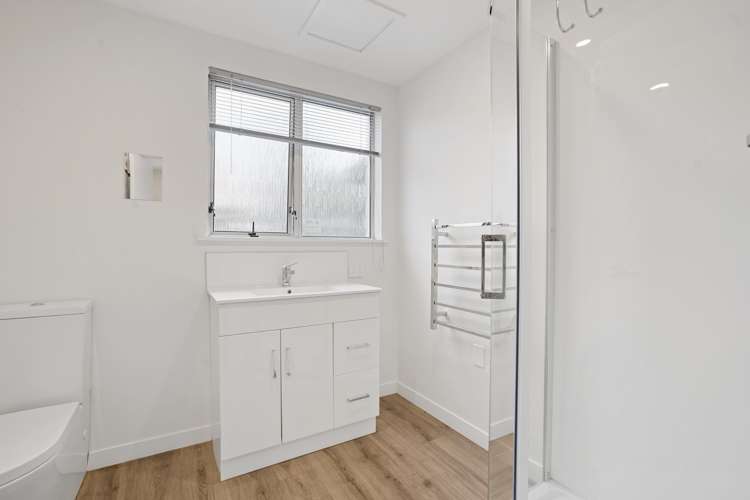 165 Milton Street Somerfield_15