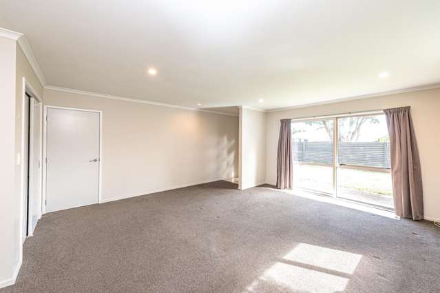 3 Plunket Street Durie Hill_4