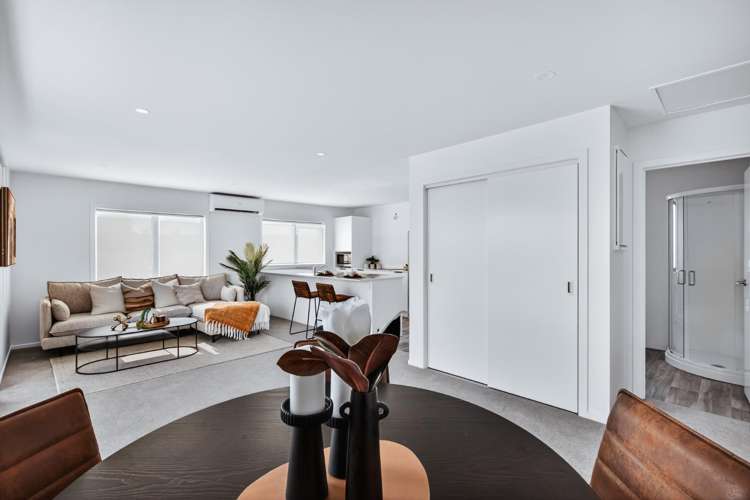 19 Kaka Street 11201_3