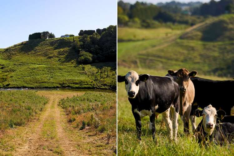 196C Pukemapu Road Oropi_14