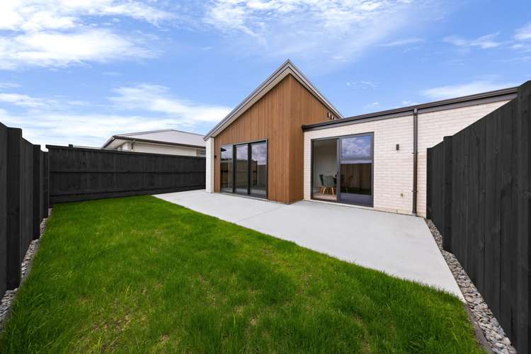 103 Marsh Ave Morrinsville_1