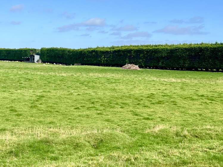 154 Moore Road Lorneville_7