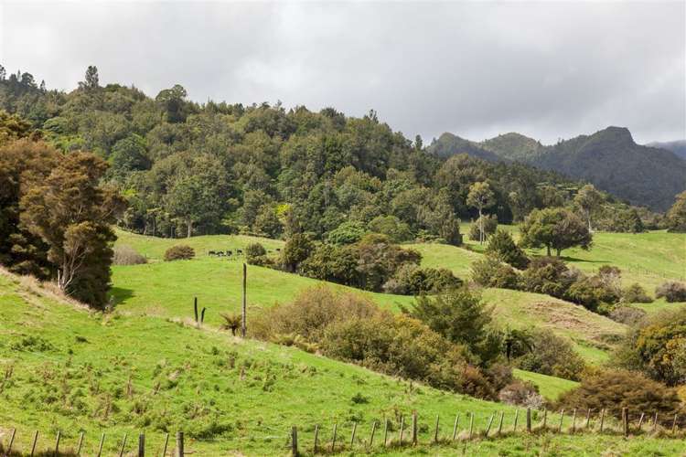 102 Wires Road Hikutaia_33