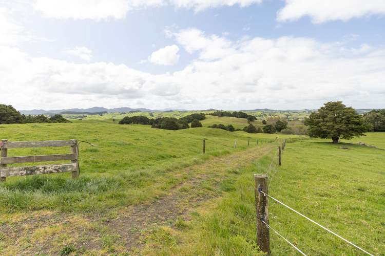 1557 Waihue Road Dargaville Surrounds_6