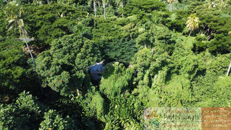 Address withheld Taveuni_7