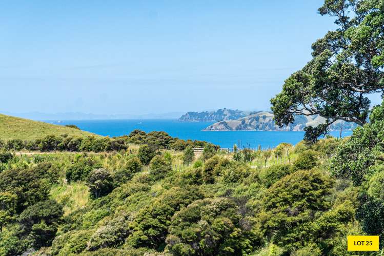 306 Sea View Road - Wawata Estate Waiheke Island_20