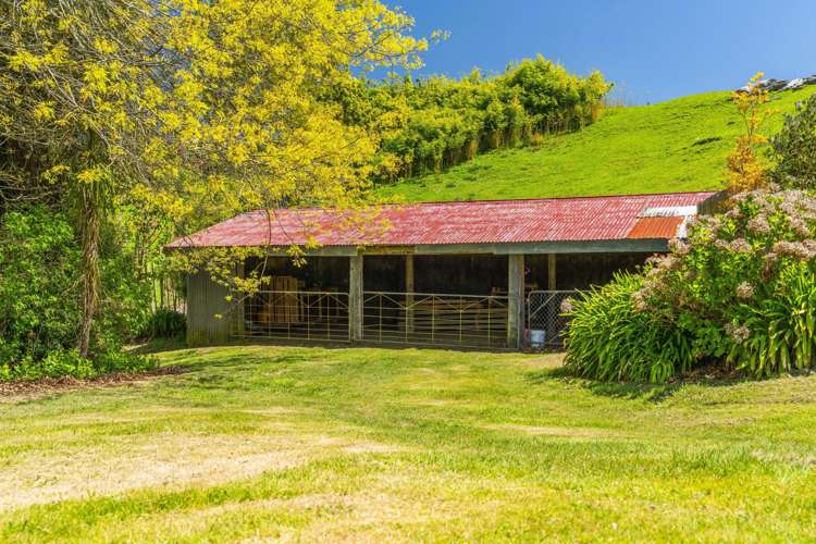 344 Palmer Mill Road Wairakei_19