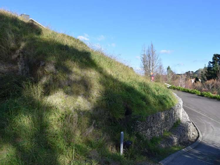 53 Margaret Avenue Mount Albert_15