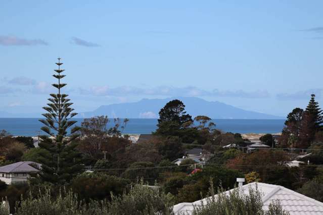 17 Driftwood Place Mangawhai Heads_1