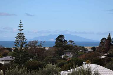 17 Driftwood Place_1
