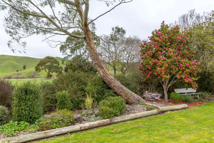 664 Westmere Road Masterton_13