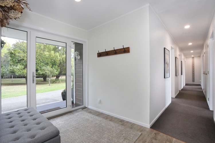 455b State Highway 1 Bulls_5