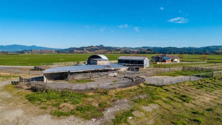 138 Higginson Road Ngahinapouri_11