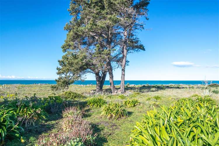 210 Rarangi Beach Road Rarangi_15