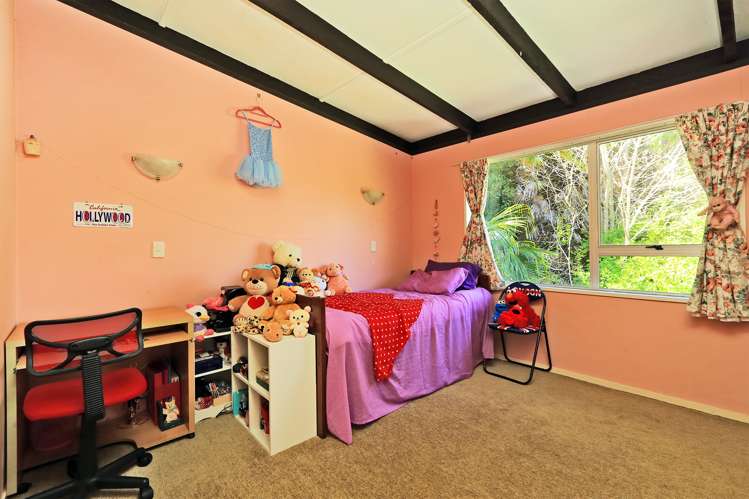 20 Priestley Road Bluff Hill_11