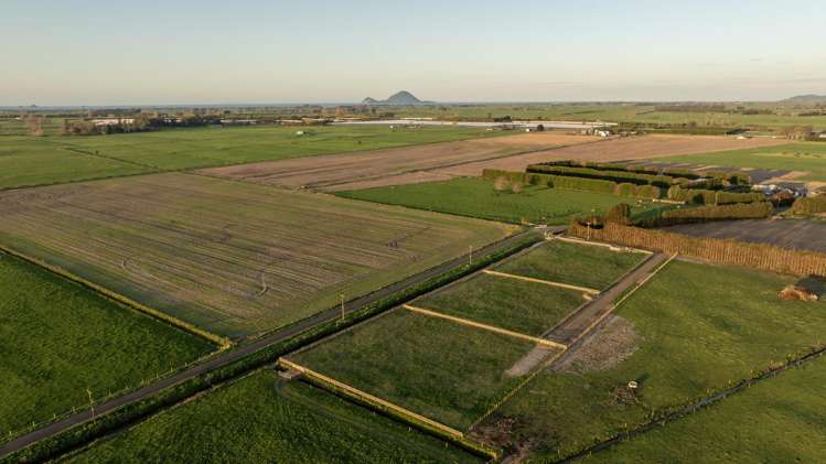 Lot 1/71 Edgecumbe Soldiers Road Edgecumbe_2