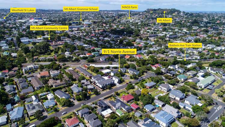 9/1 Norrie Avenue Mount Albert_16