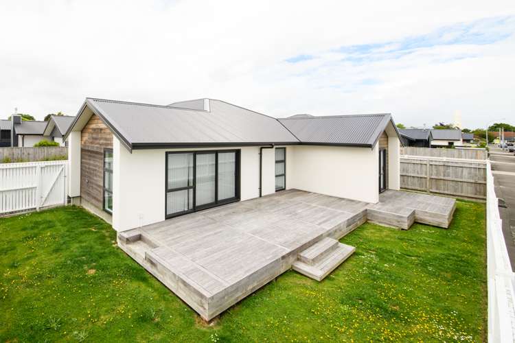 2a Massey Street Palmerston North Central_22