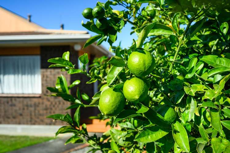 22 Virginia Crescent Feilding_21
