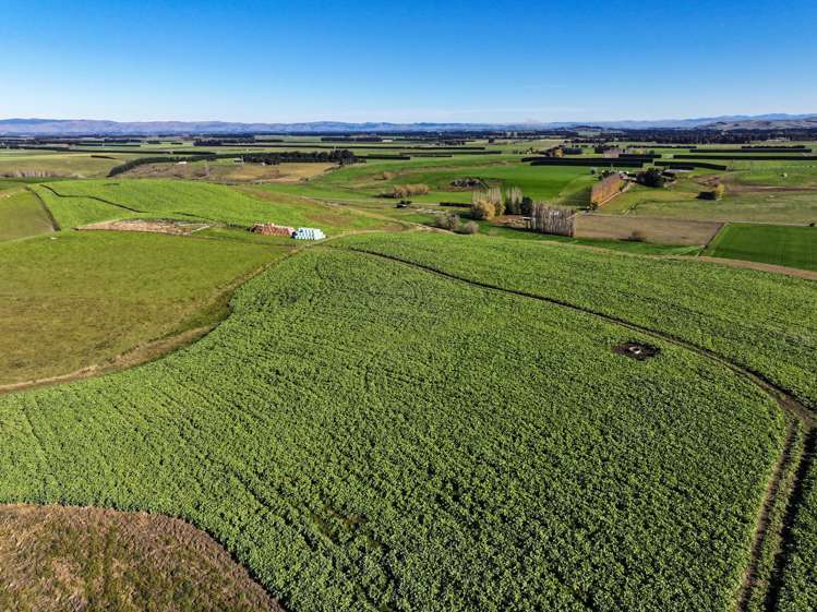 80 McDonald Road Wendonside_7