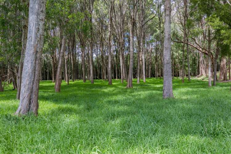 1794 Wainui Road Kaeo_16