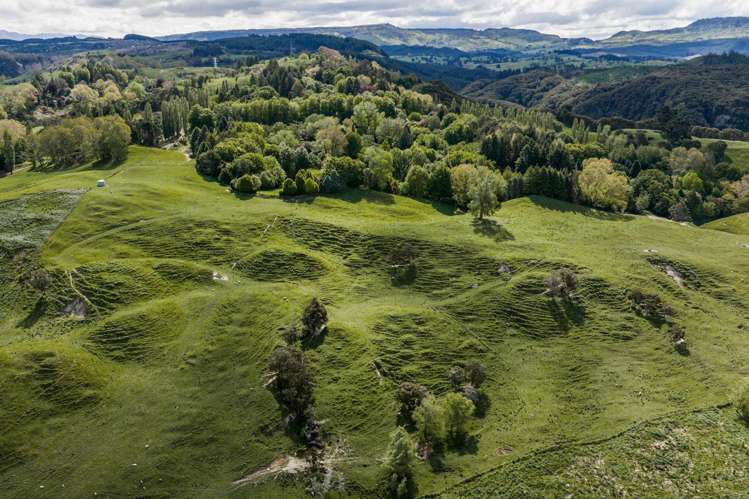 558 Old Coach Road Te Pohue_26