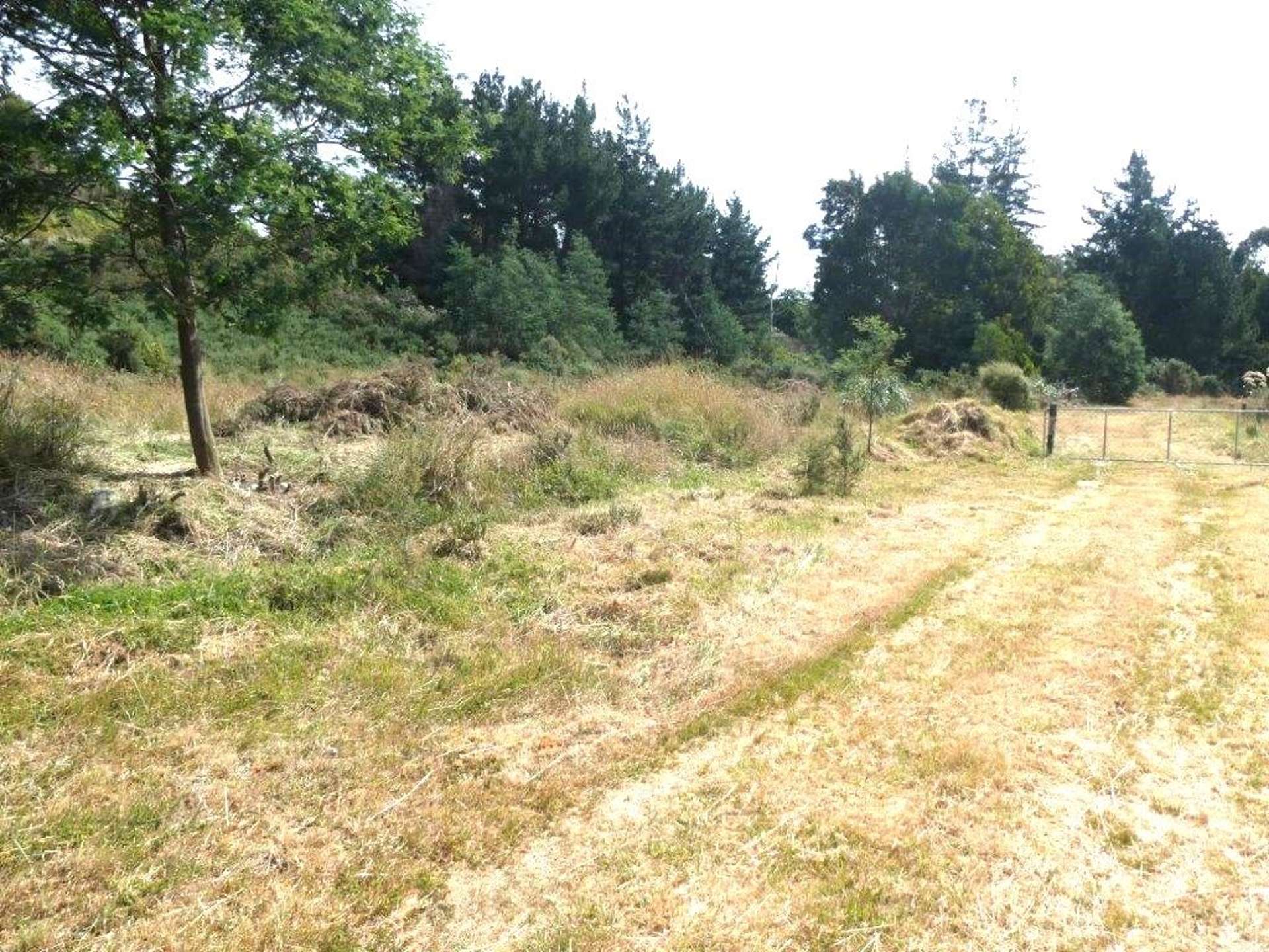 Keogans Road Hokitika_0