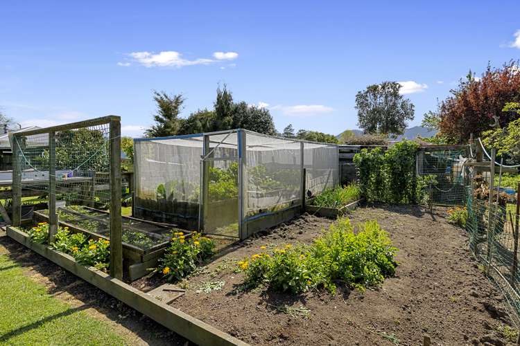 12 Campbell Street Waihou_17