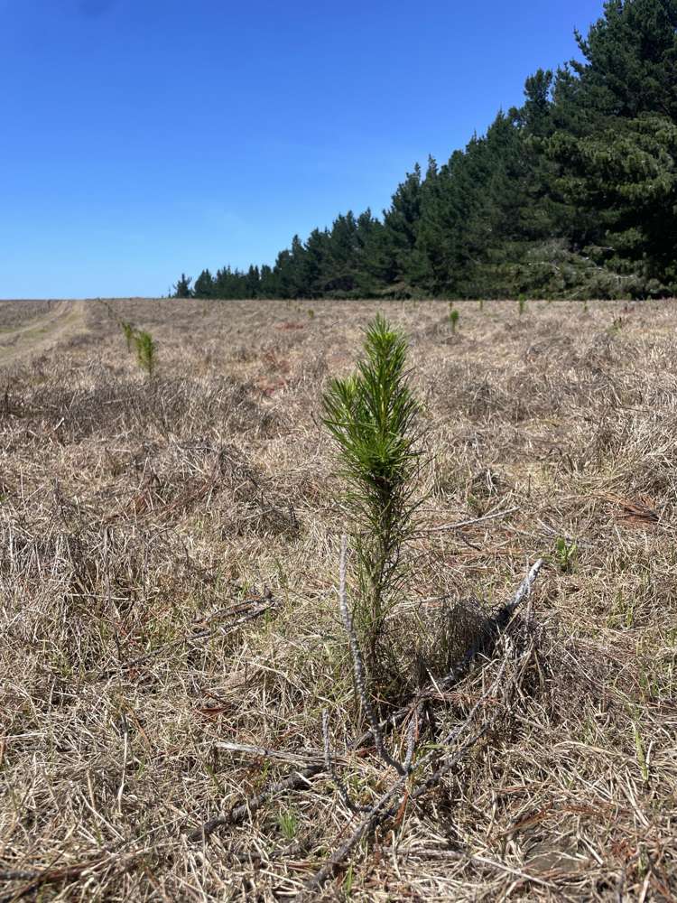 Toko Mouth Road Toko Mouth_3