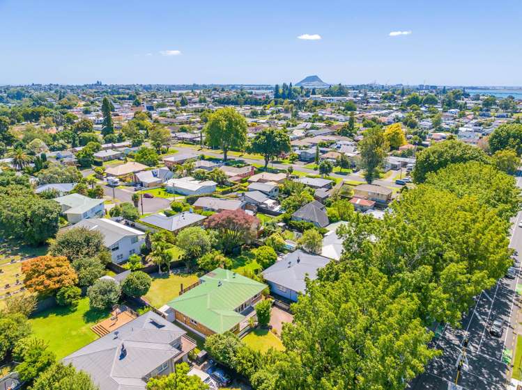 183 Fraser Street Tauranga Central_24