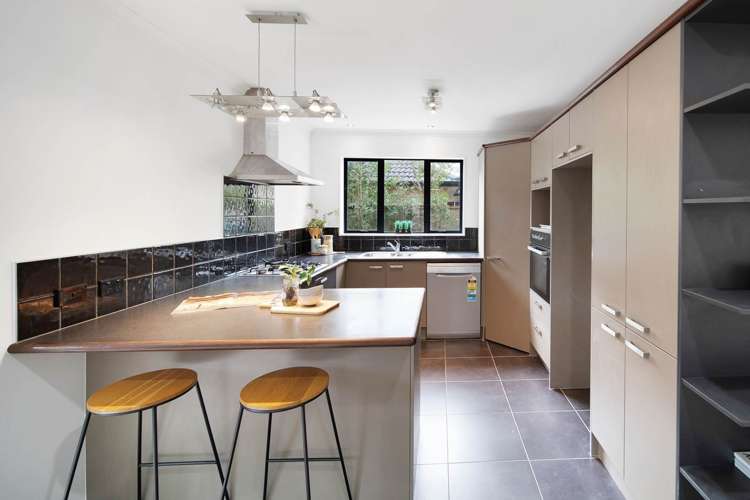 77 Wayne Francis Drive Flat Bush_3