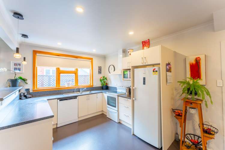 48 Trafalgar Street Maori Hill_5