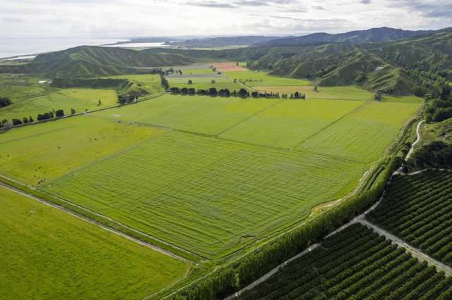 2225 State Highway 2 Whakaki_3