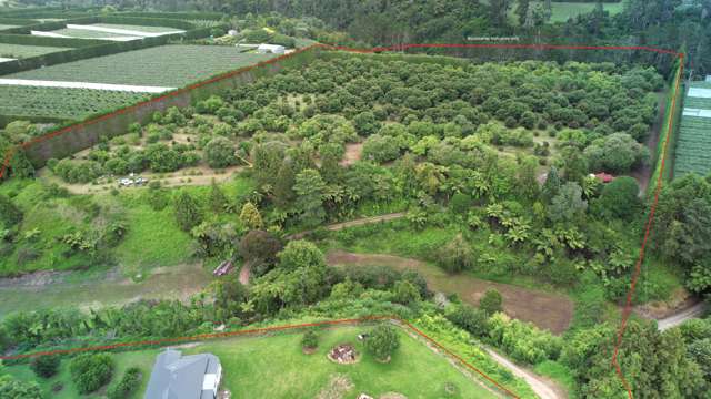 400 Te Matai Road Te Puke_3