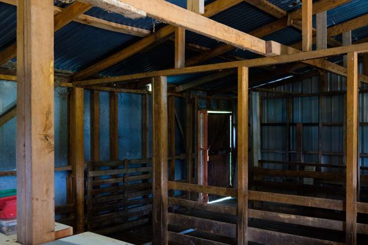 880 Harington Point Road Harington Point_16