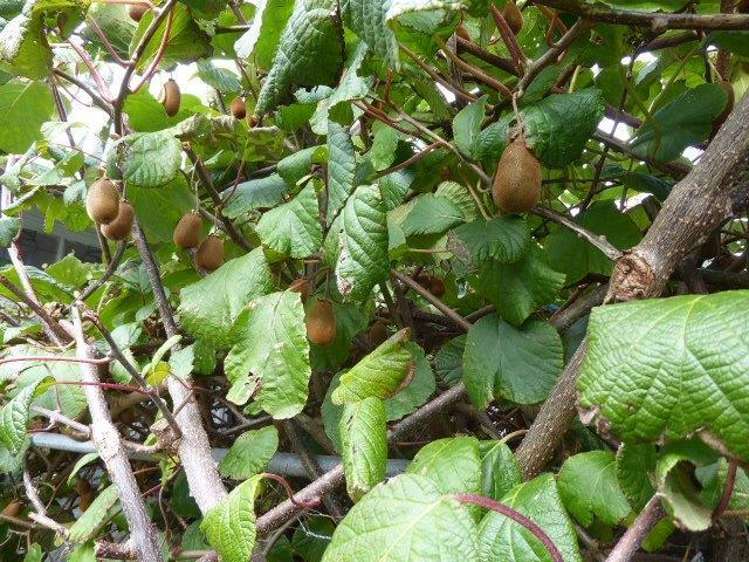 68 Marsden Street Melling_9