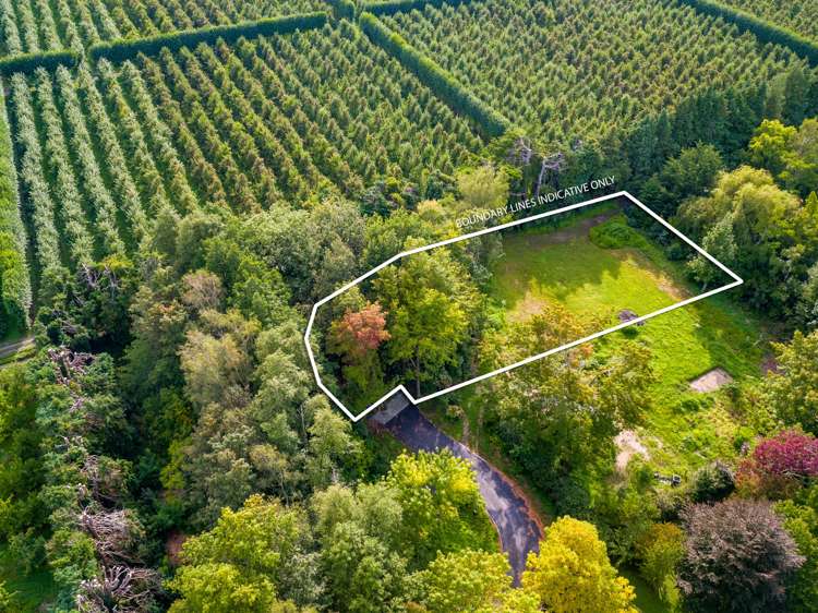 16 Woodlands Way Greytown_6