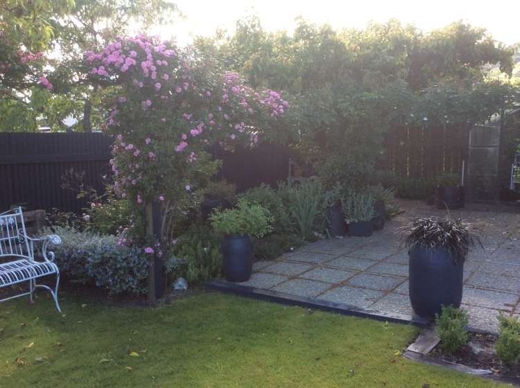 29 Horace Street Cromwell_15