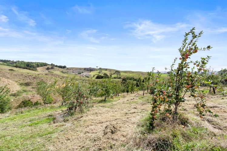 735b Findlay Road Miranda_16