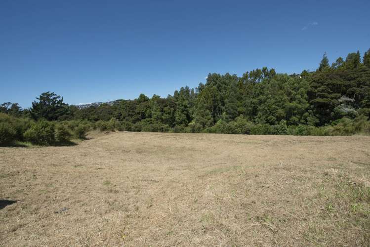 88 Vaughans Road Long Bay_6