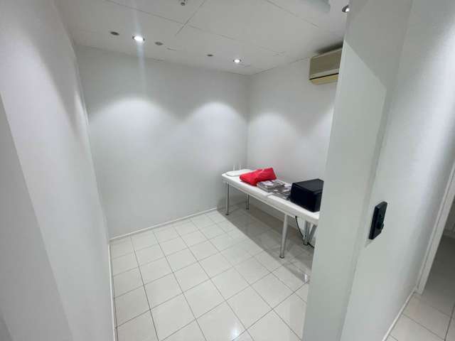 393 Parnell Road Parnell_3