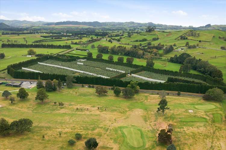 79 Woodlands Road Waihi Beach_24