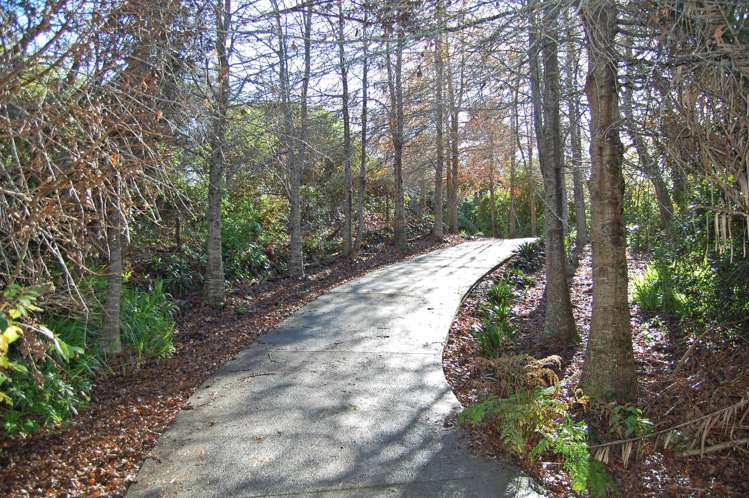 364 Oneriri Road Kaiwaka_7