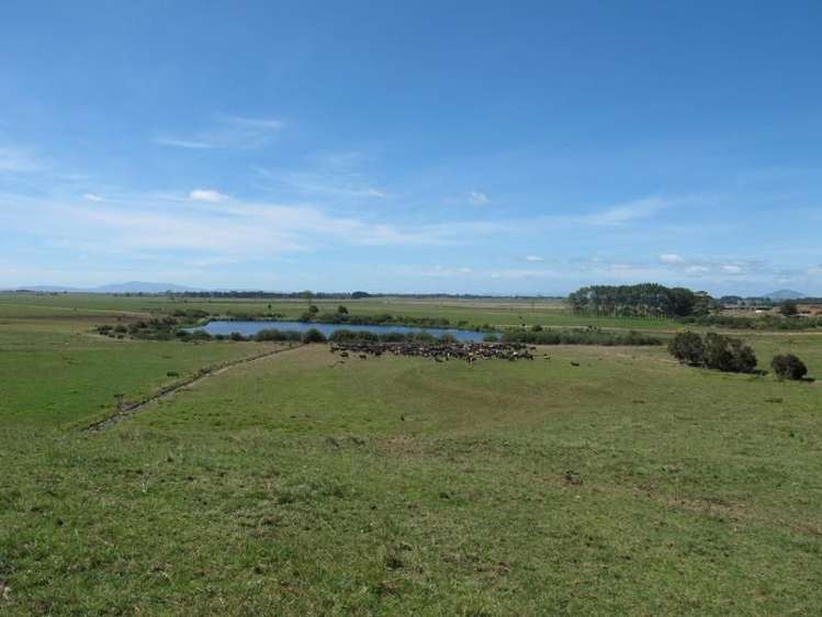 2/795 Tuhikaramea Road Ngahinapouri_4