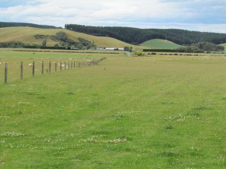 734 Crichton Road Milton_4