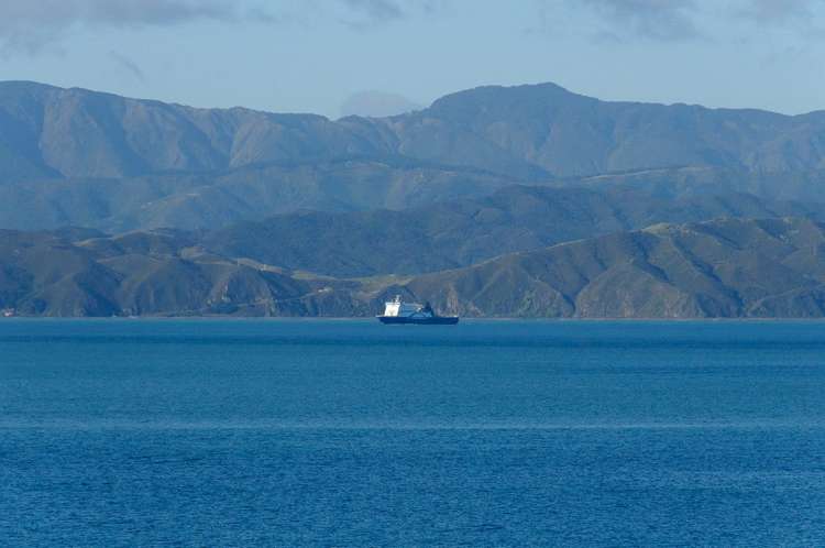 18/2 Onslow Road Khandallah_8