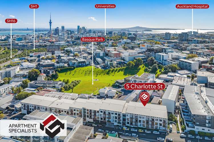 5 Charlotte Street Eden Terrace_14