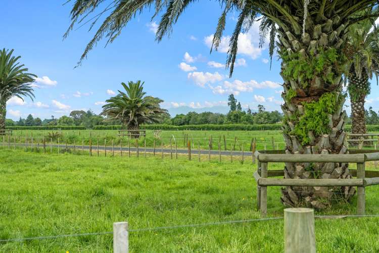 164 Lee Martin Road Tamahere_18