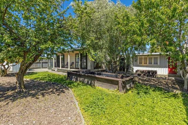 28A Lane Street Blenheim_3
