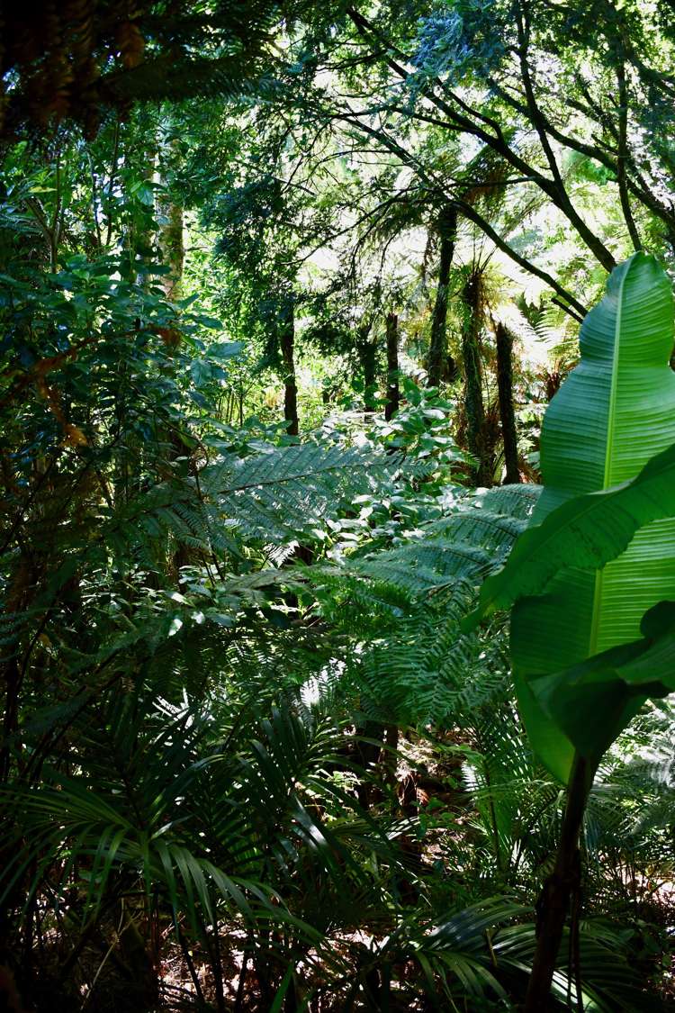 21 Horncastle Crescent Kahurangi National Park_7